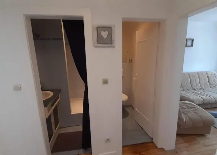 Charming Apartment Stiring-Wendel